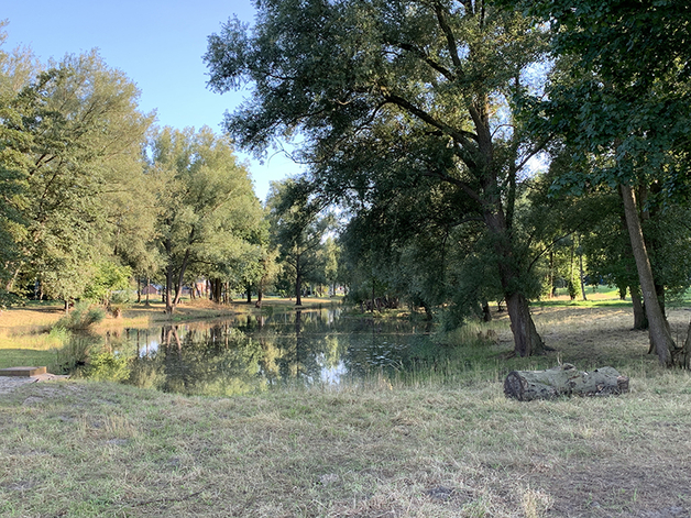 Aartje Natuur Coaching Natuur 3